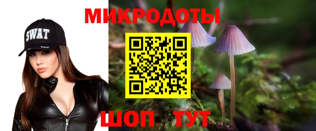Псилоцибиновые грибы мухоморы Нарьян-Мар